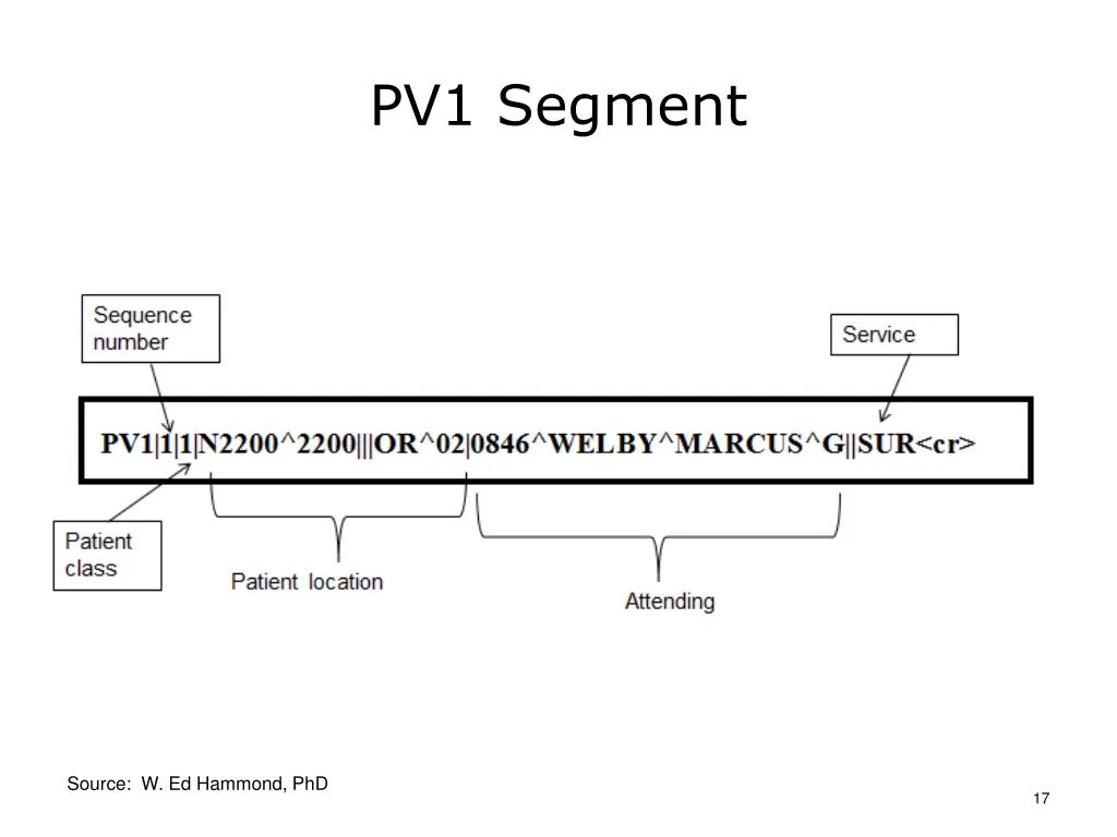 pv1 segment