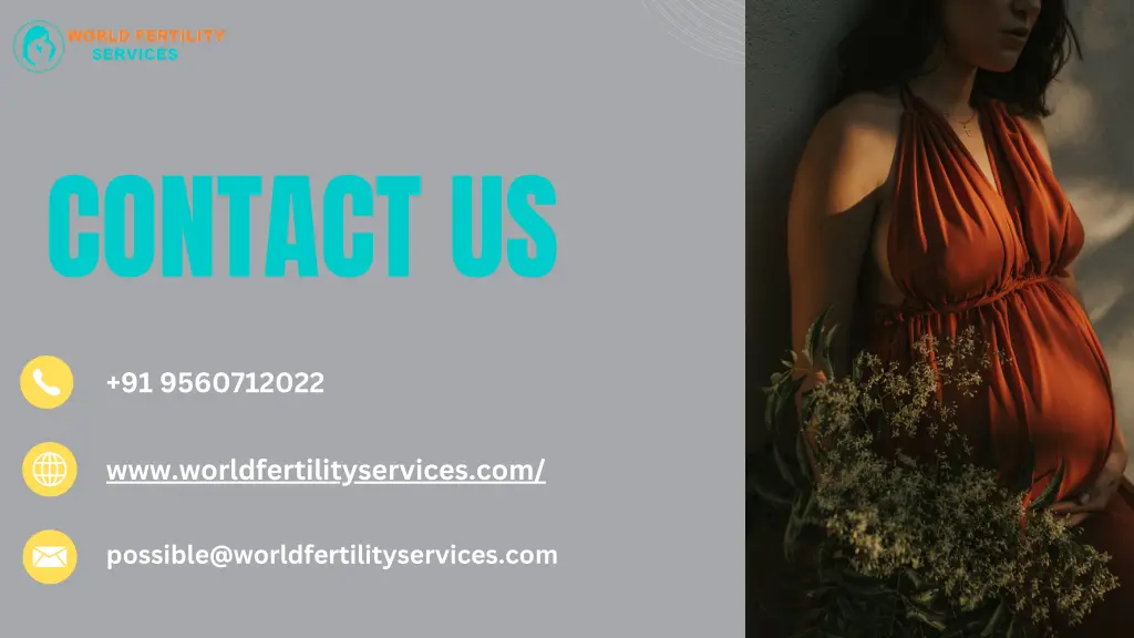 contact us