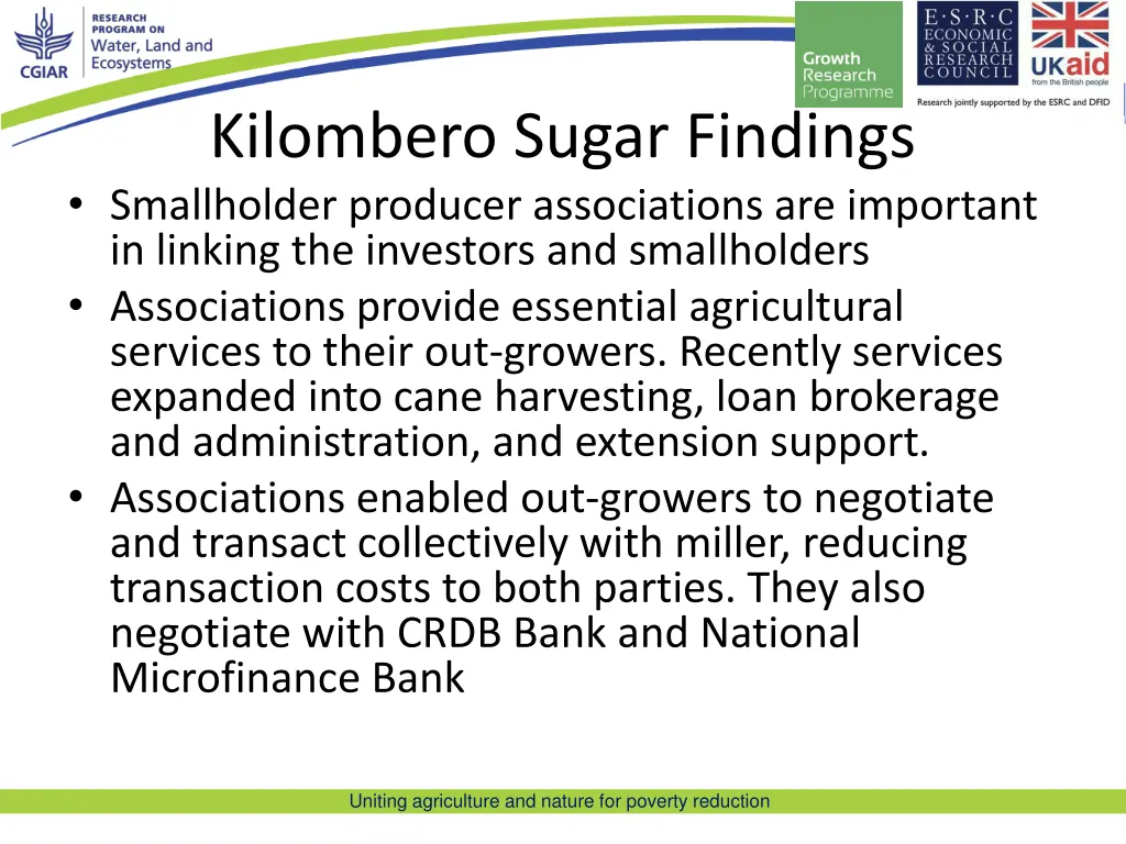 kilombero sugar findings smallholder producer