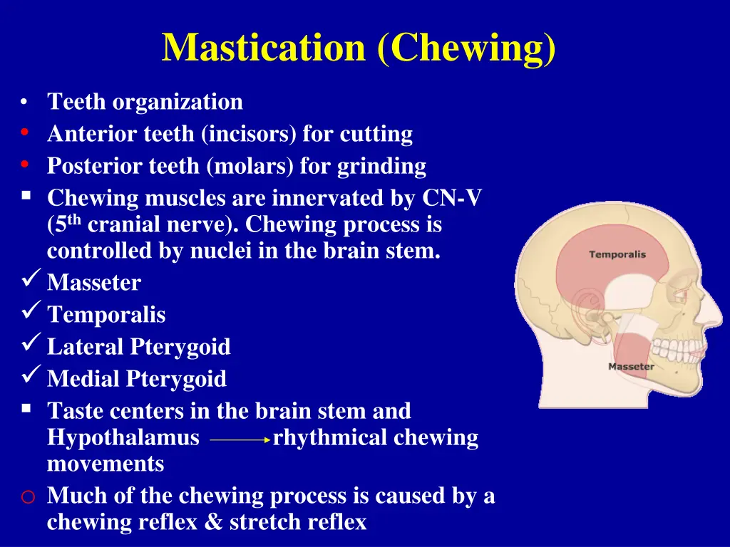 mastication chewing 1