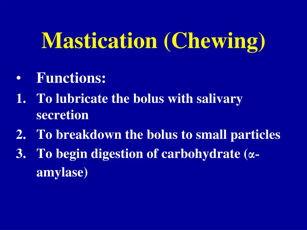 mastication chewing