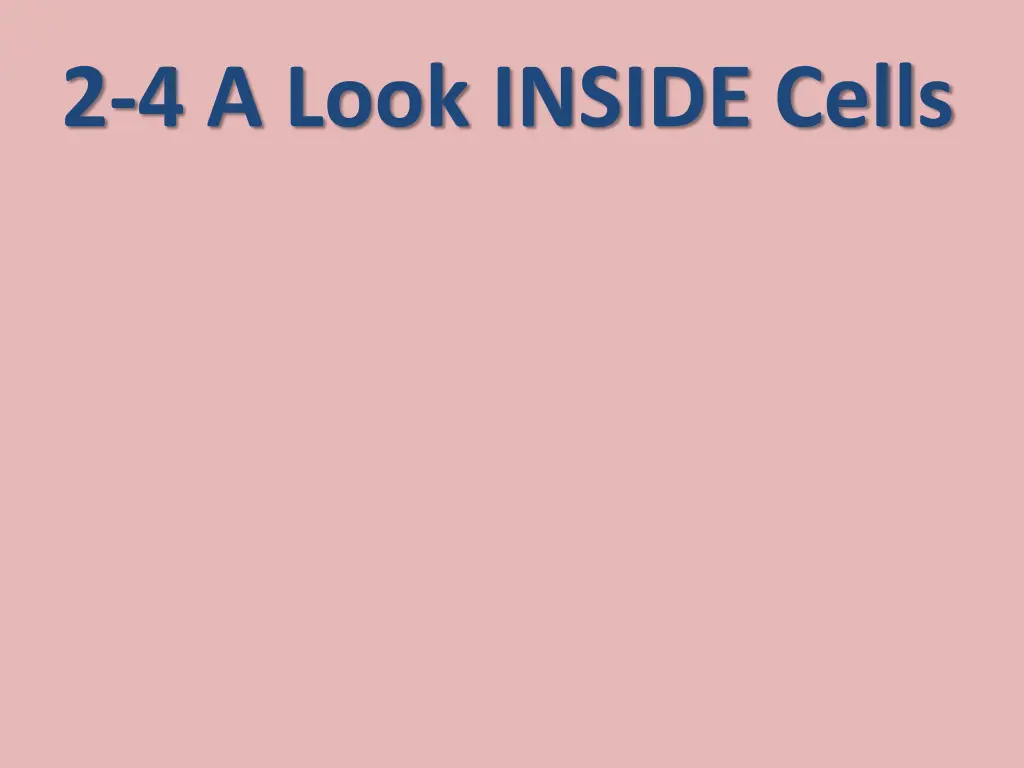 2 4 a look inside cells