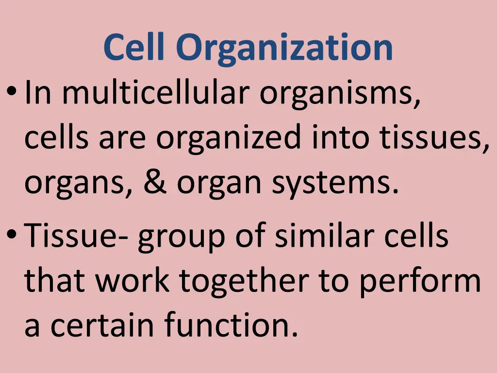 cell organization in multicellular organisms