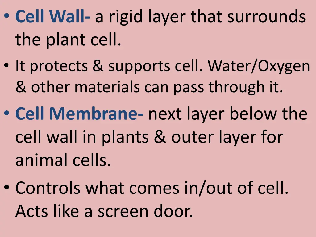 cell wall a rigid layer that surrounds the plant
