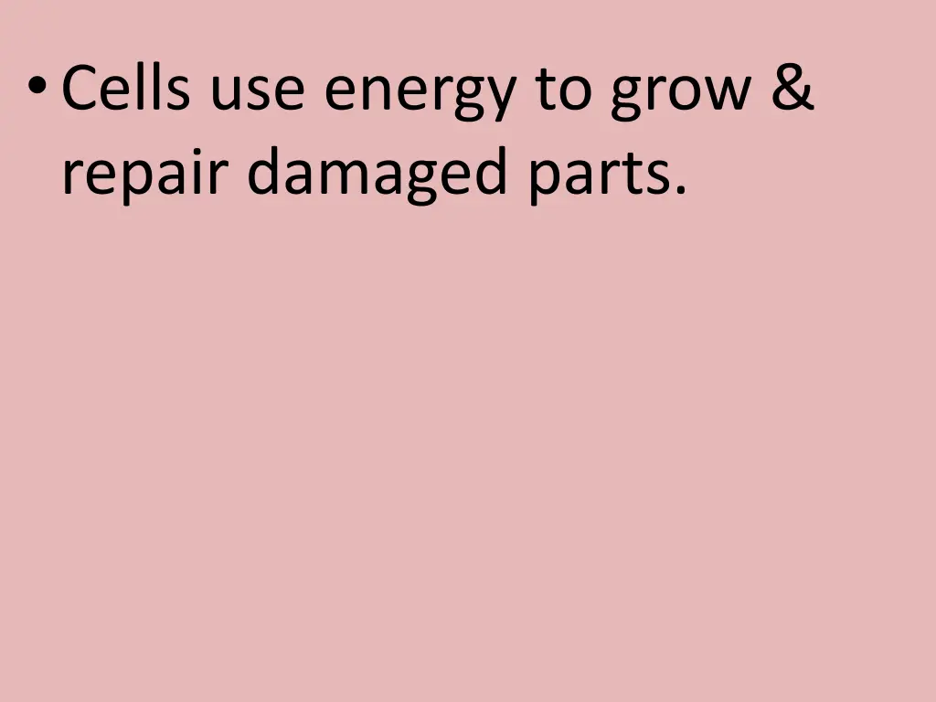 cells use energy to grow repair damaged parts