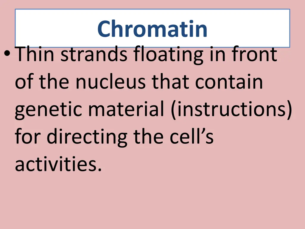 chromatin