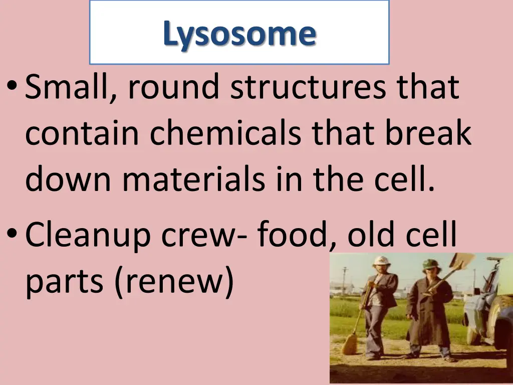 lysosome
