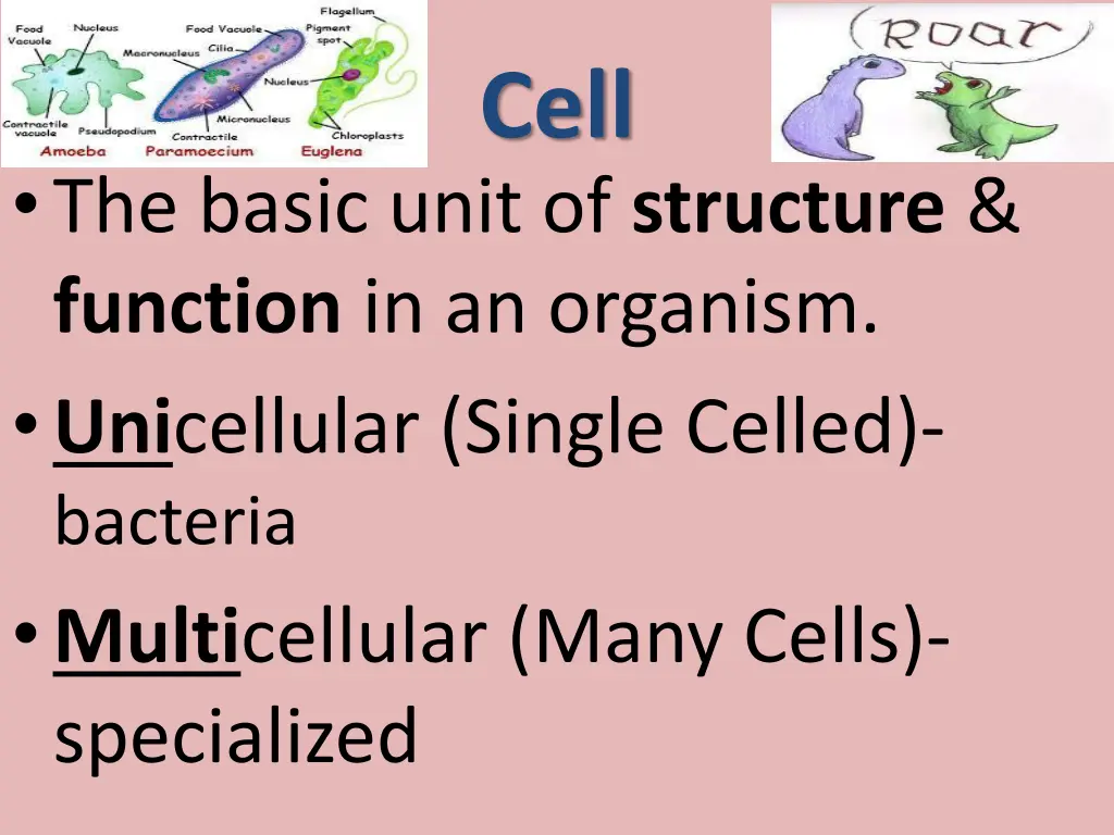 slide3