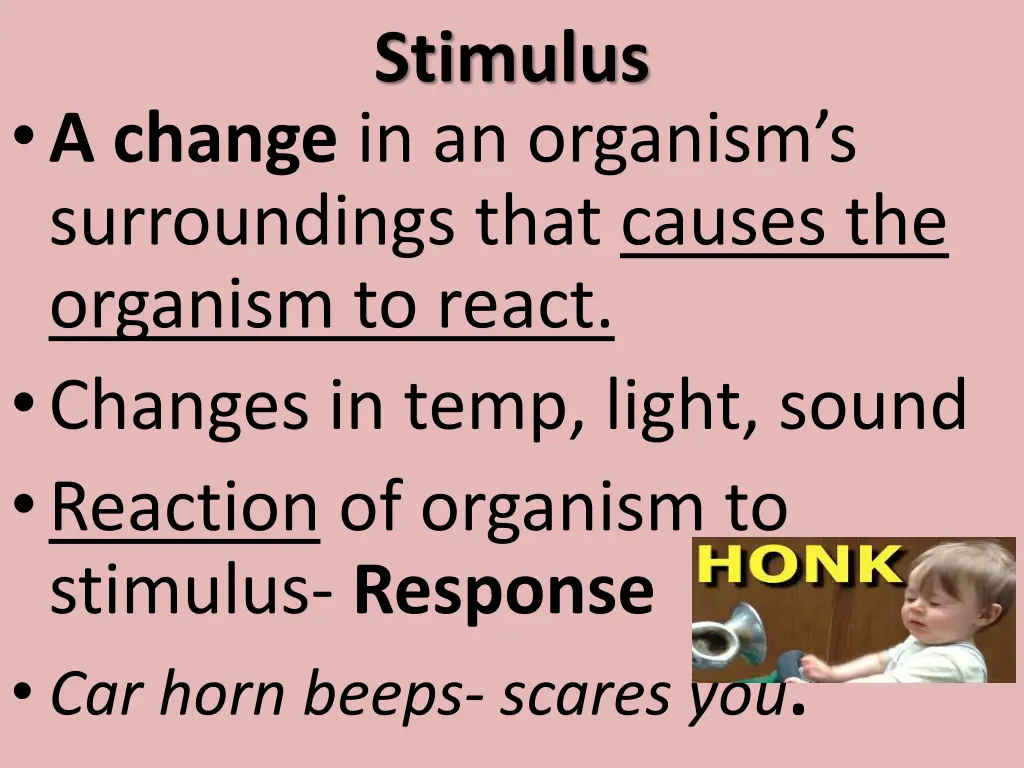 stimulus