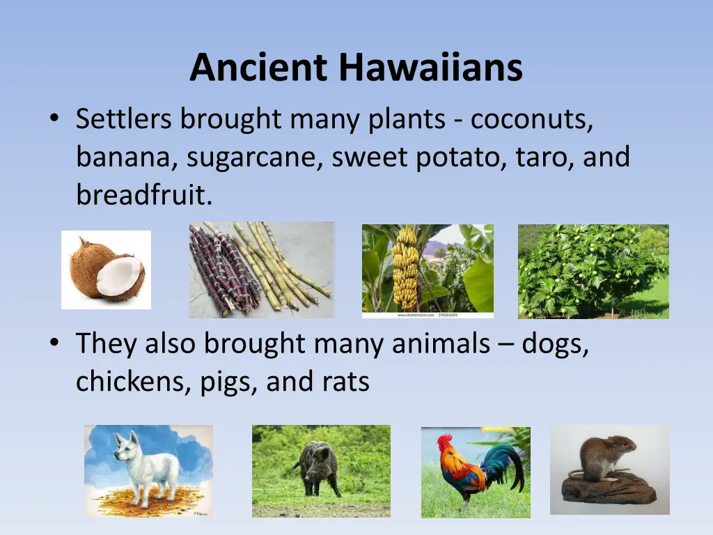 ancient hawaiians settlers brought many plants