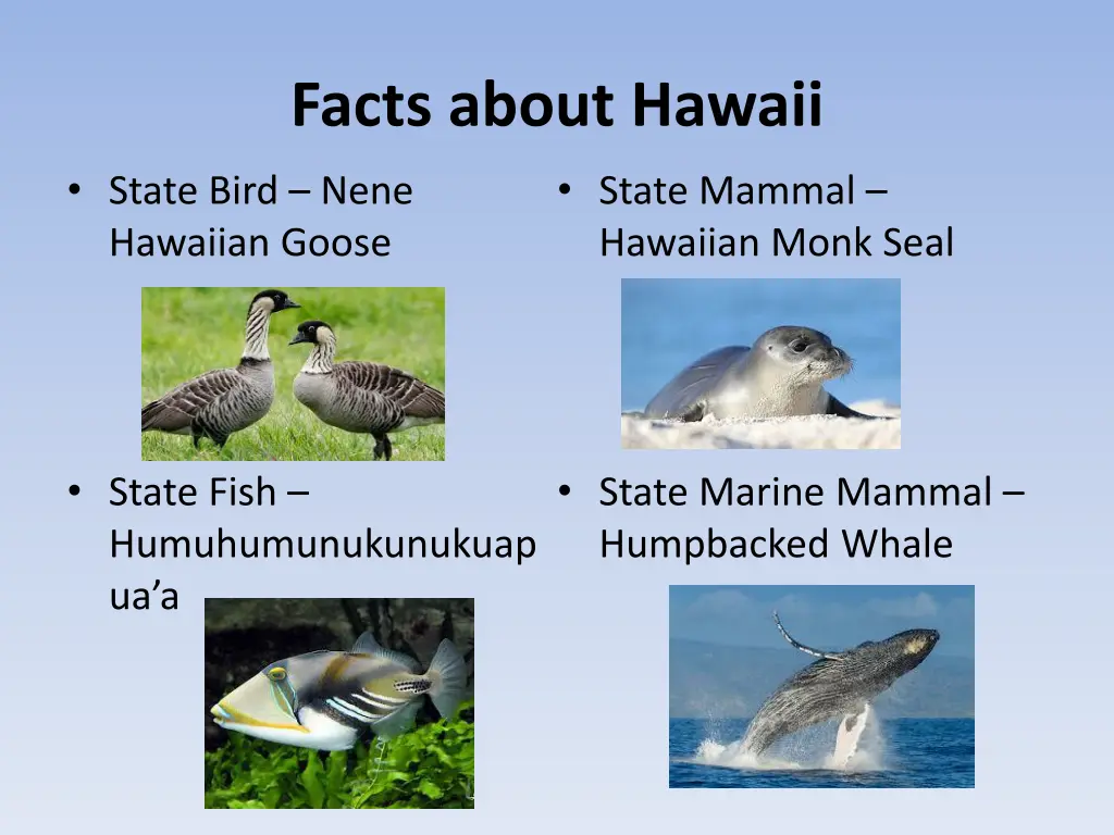 facts about hawaii 1