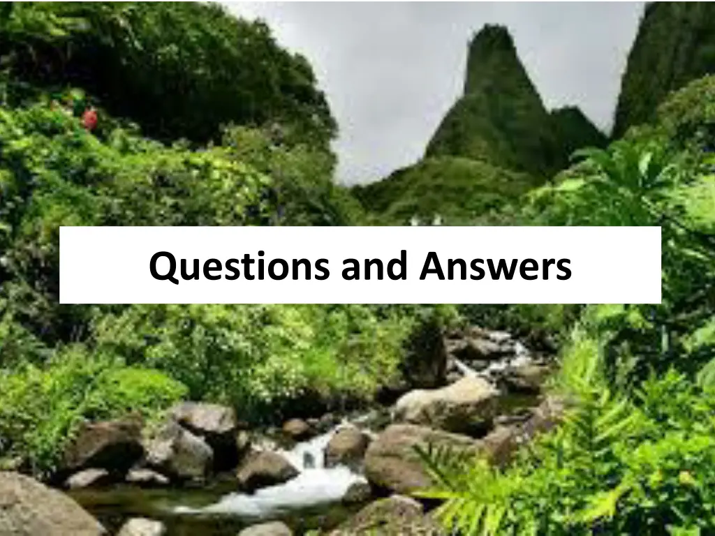 questions and answers