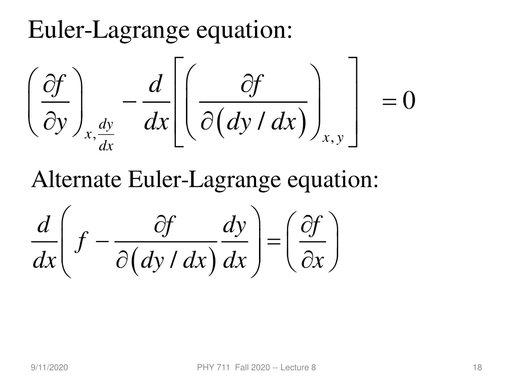 euler lagrange equation