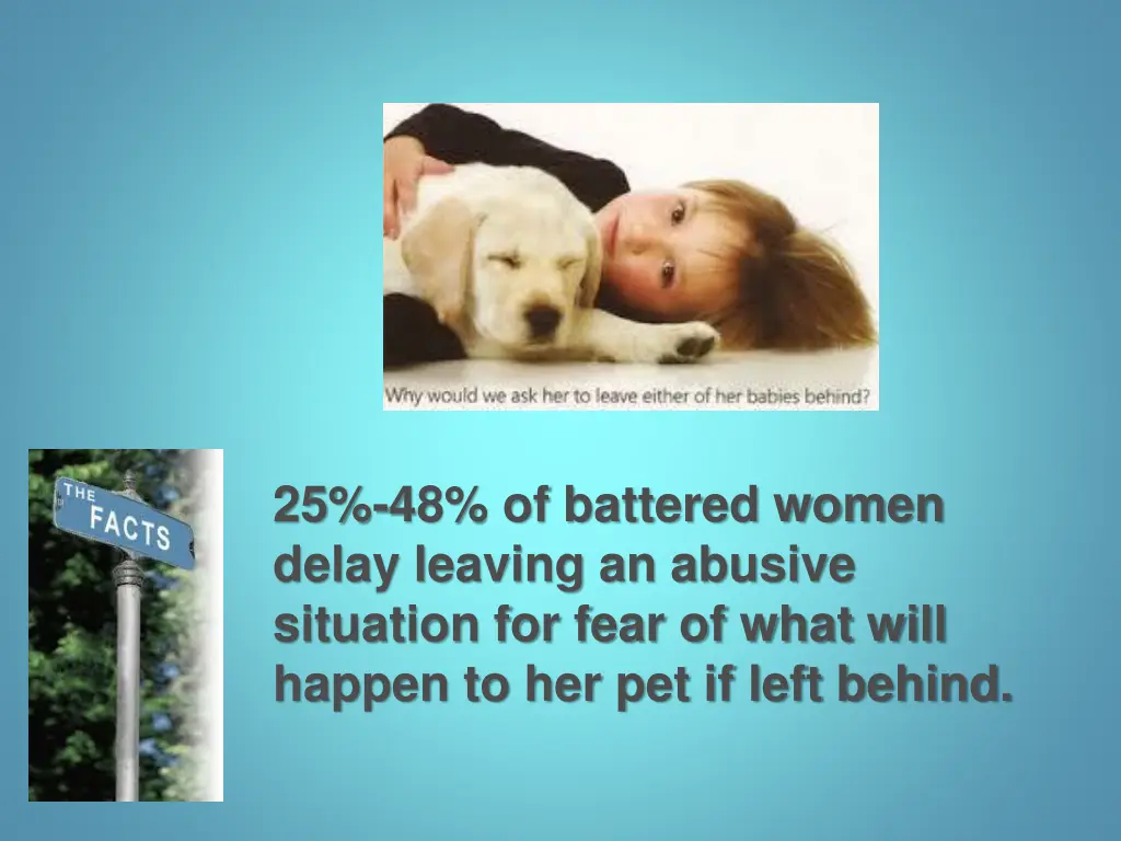 25 48 of battered women delay leaving an abusive