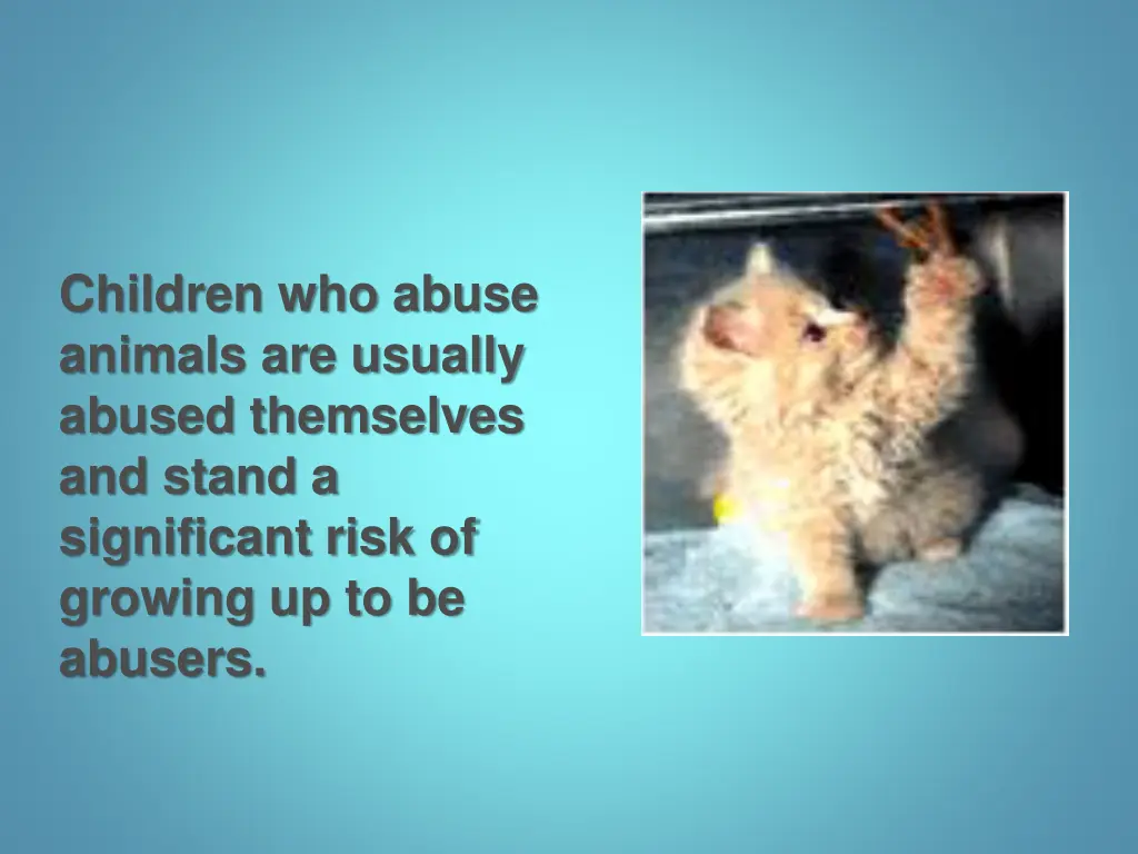 children who abuse animals are usually abused