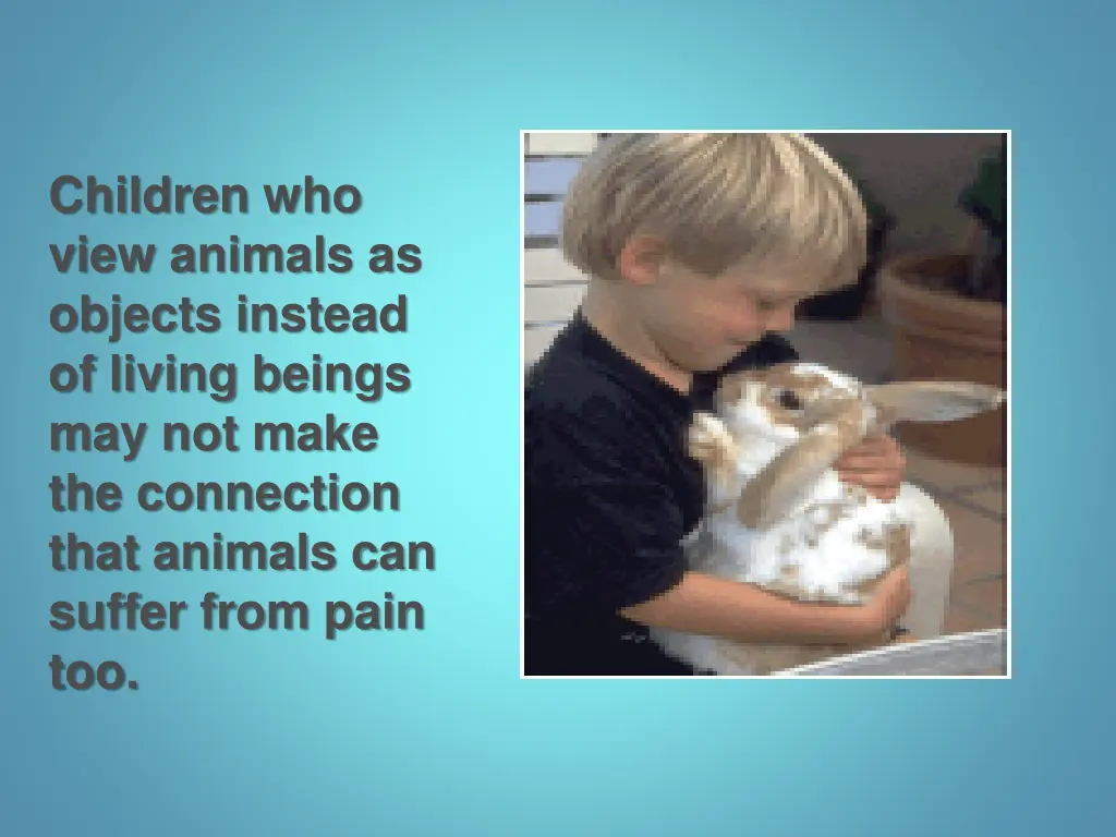 children who view animals as objects instead
