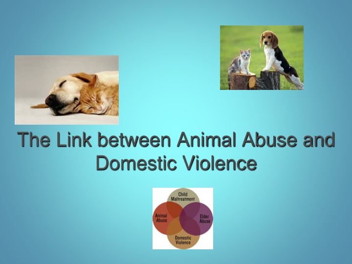 the link between animal abuse and domestic