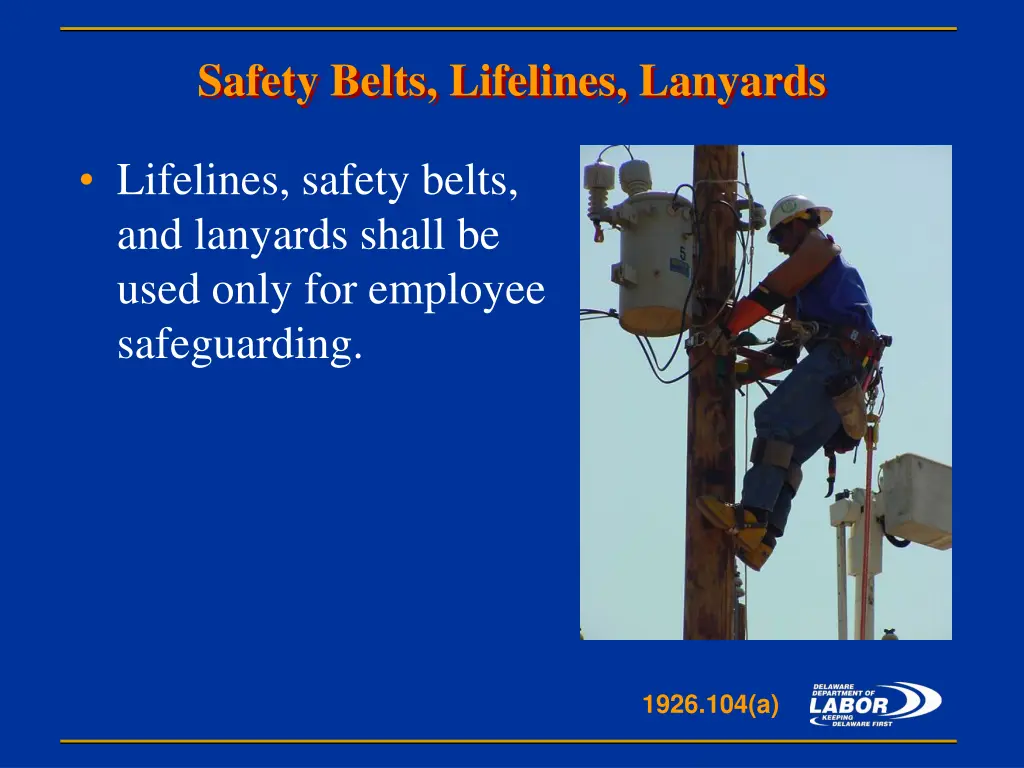 safety belts lifelines lanyards