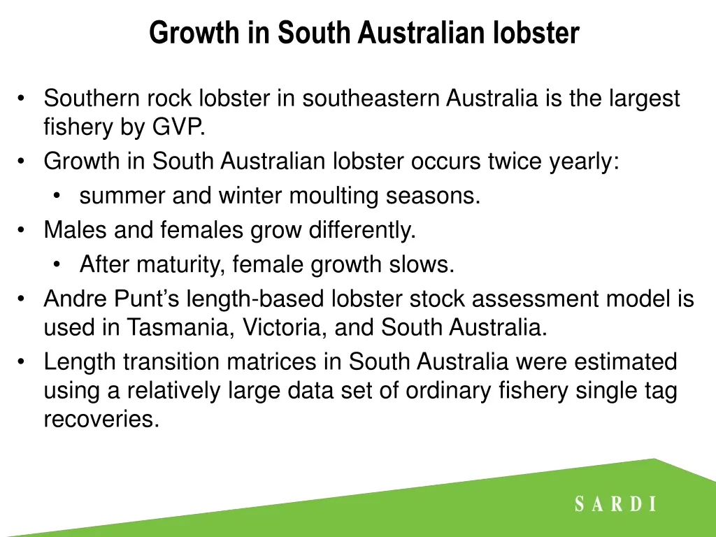 growth in south australian lobster