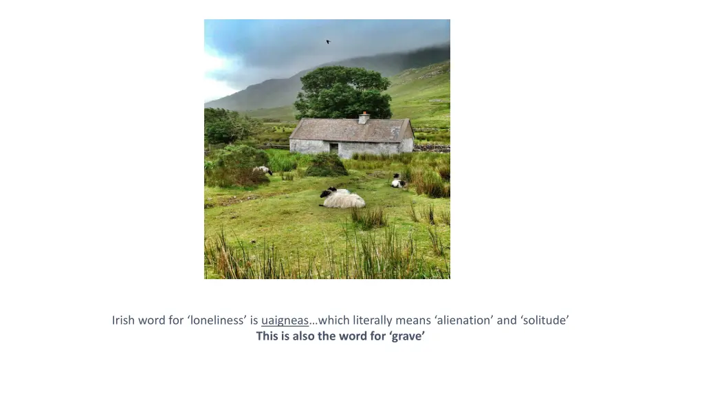 irish word for loneliness is uaigneas which