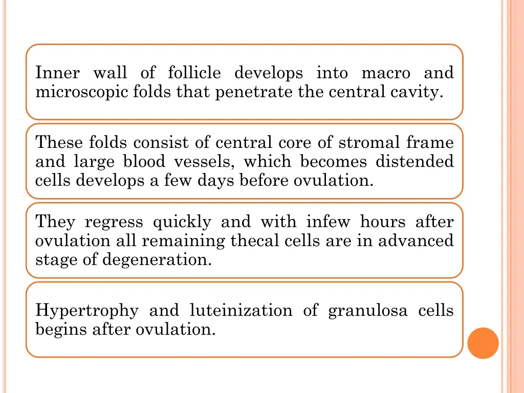 inner wall of follicle develops into macro