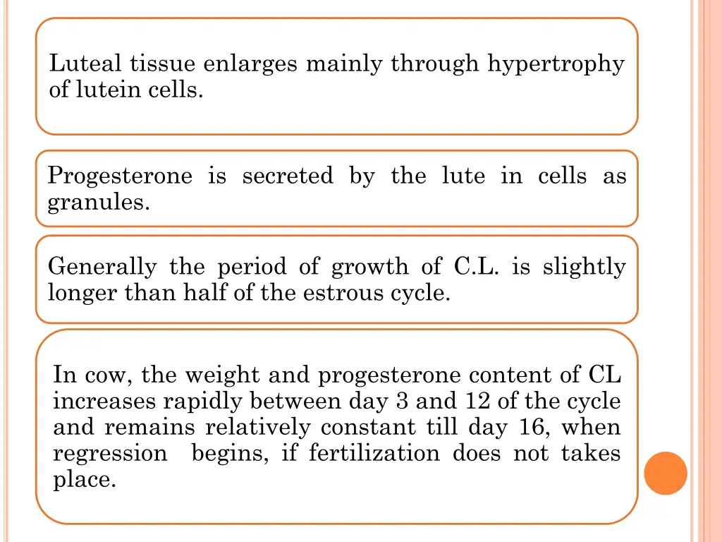 luteal tissue enlarges mainly through hypertrophy