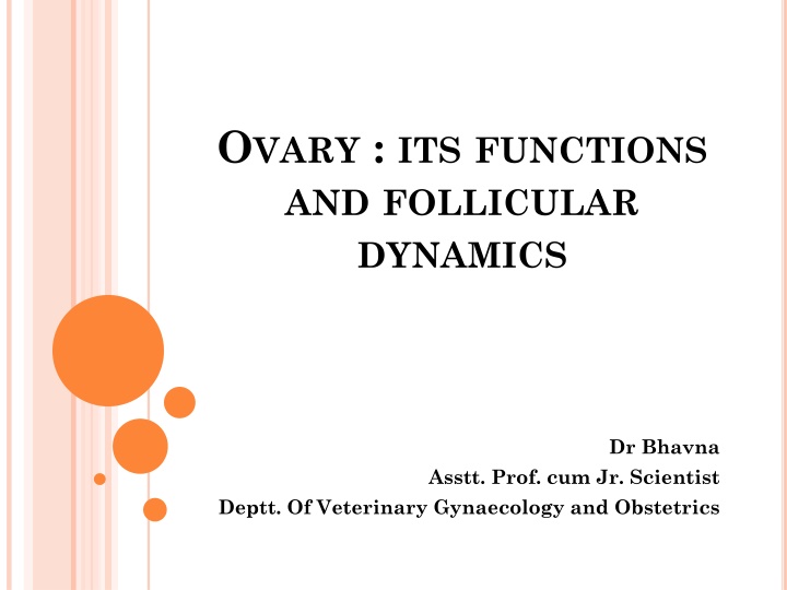 o vary its functions and follicular dynamics