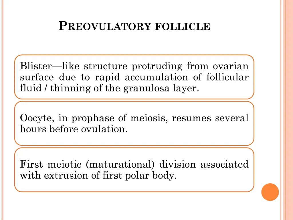 p reovulatory follicle