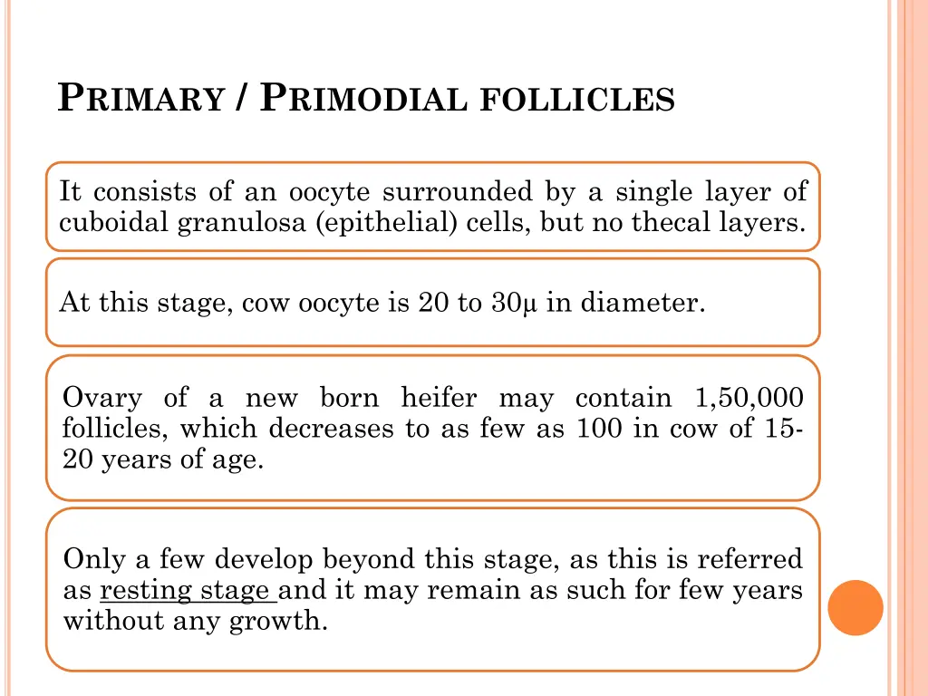 p rimary p rimodial follicles