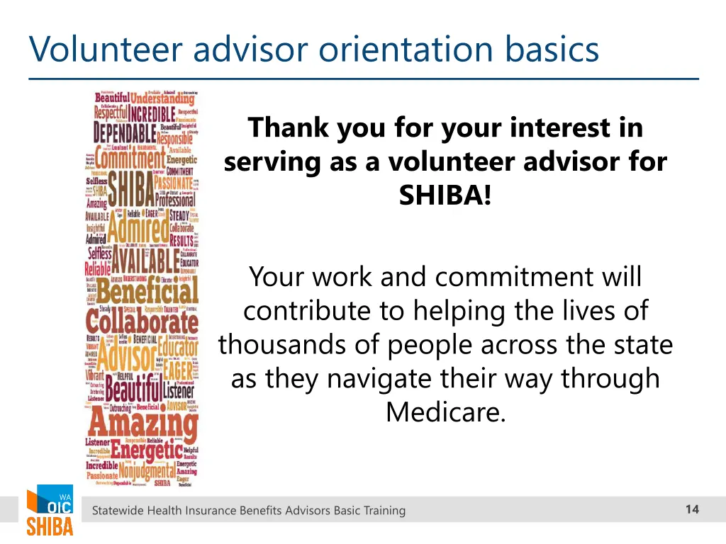 volunteer advisor orientation basics