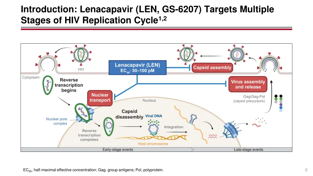 introduction lenacapavir len gs 6207 targets