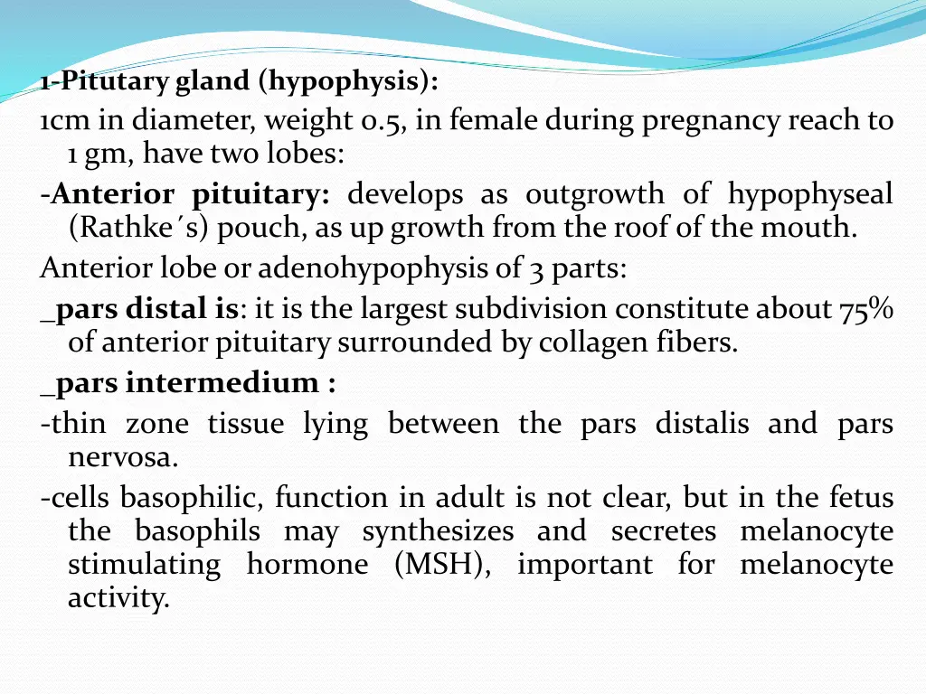 1 pitutary gland hypophysis 1cm in diameter