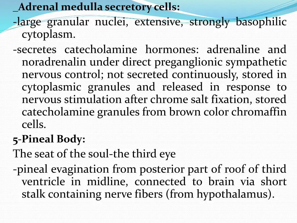 adrenal medulla secretory cells large granular