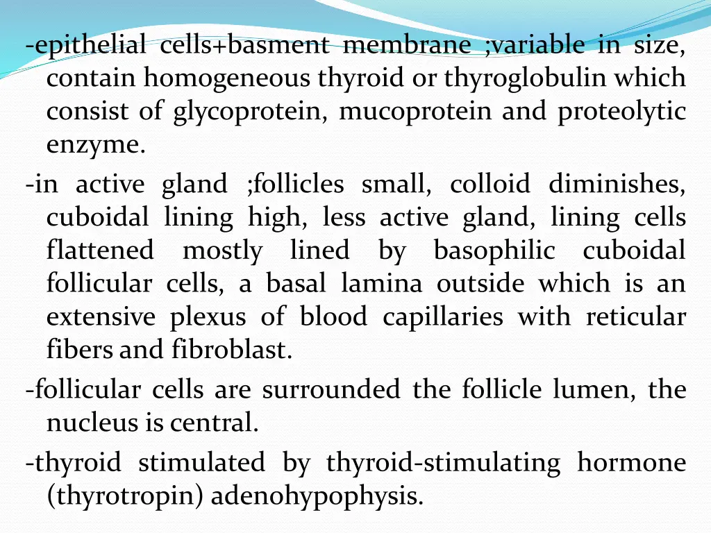 epithelial cells basment membrane variable