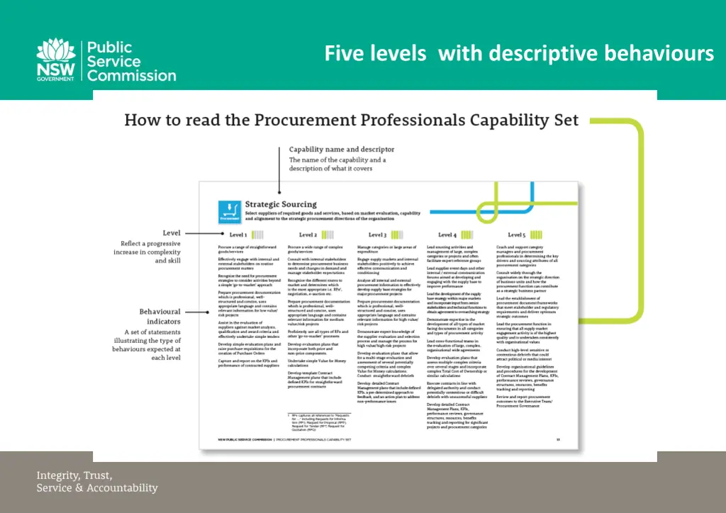 five levels with descriptive behaviours 1