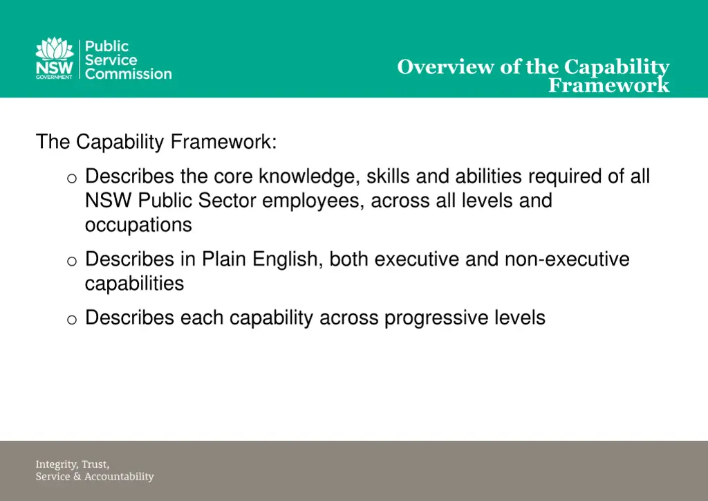 overview of the capability