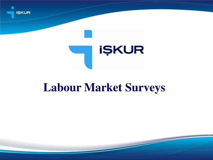 labour market surveys
