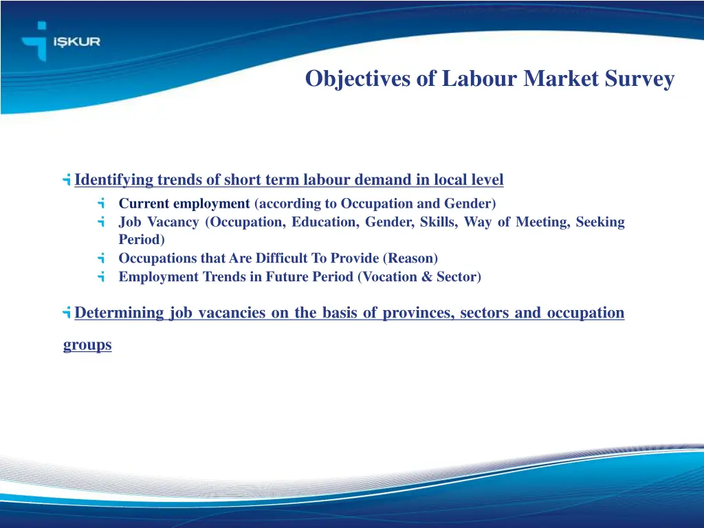 objectives of labour market survey