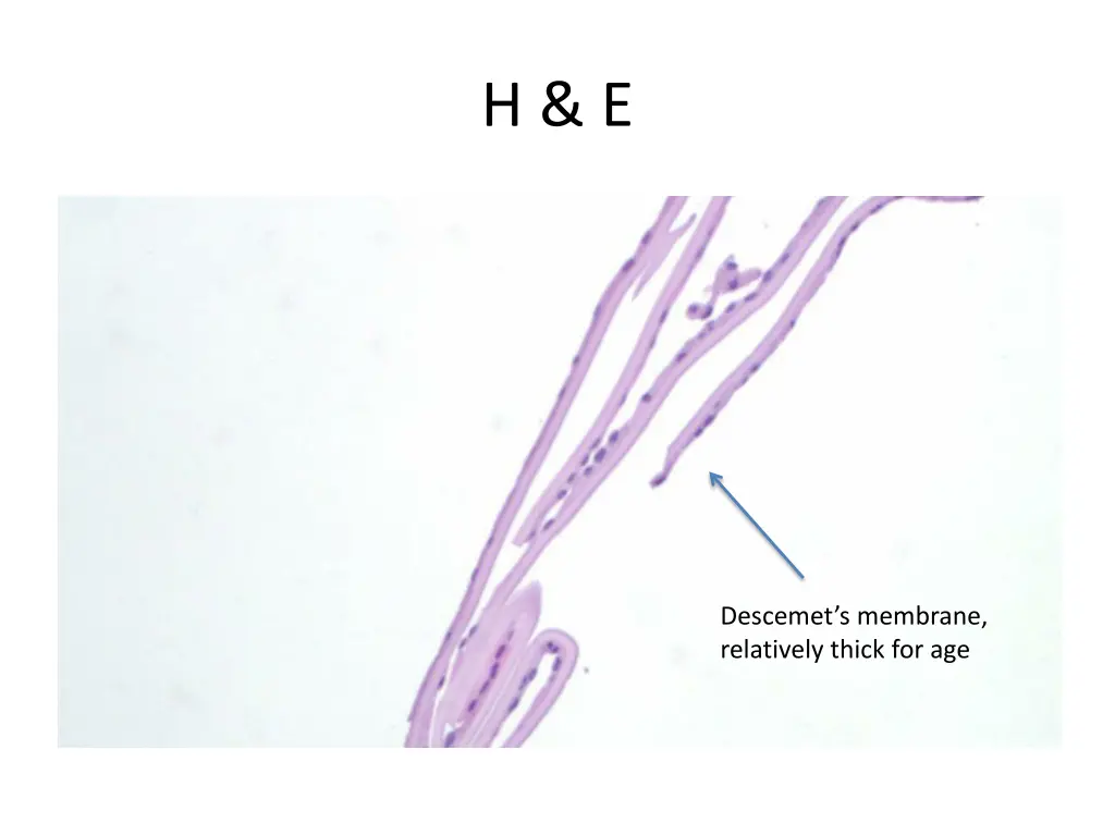 slide6