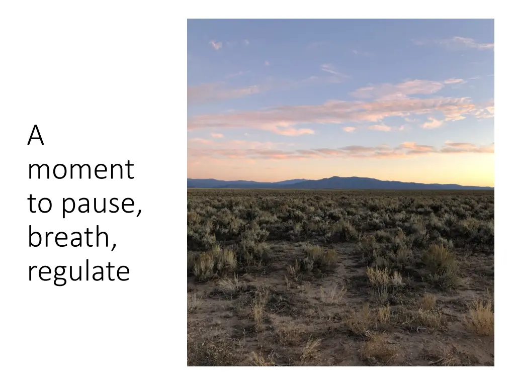 a moment to pause breath regulate
