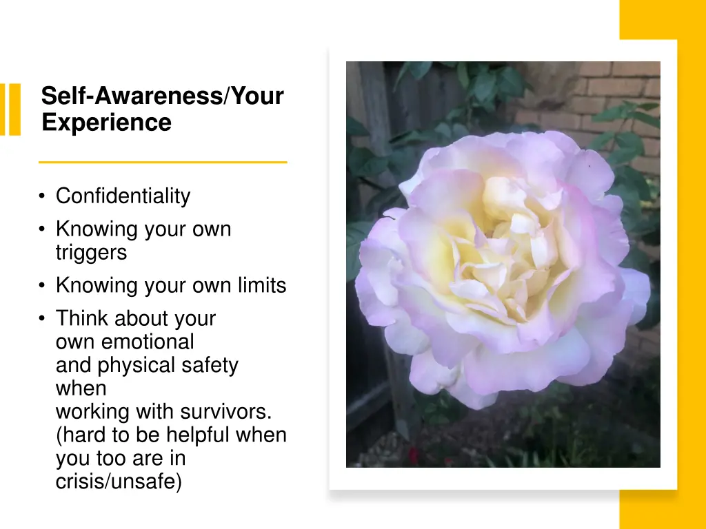 self awareness your experience