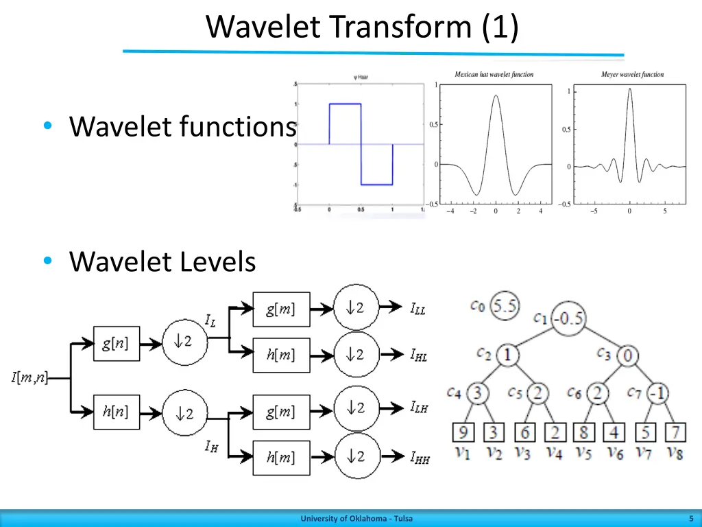 wavelet transform 1