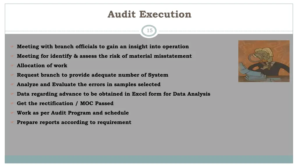 audit execution