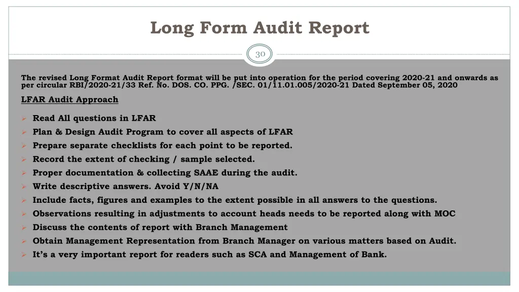 long form audit report