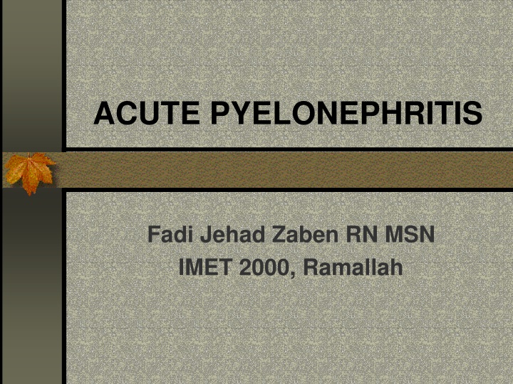 acute pyelonephritis
