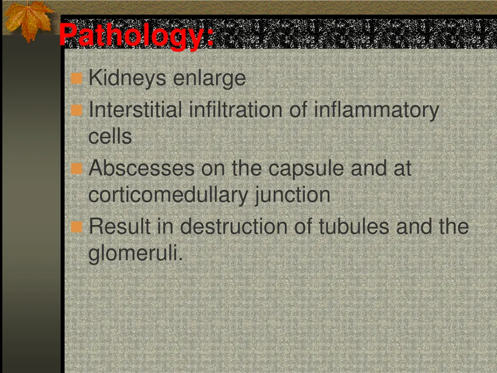 pathology