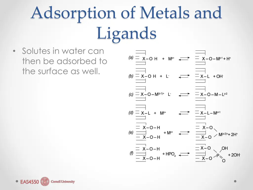 adsorption of metals and ligands solutes in water
