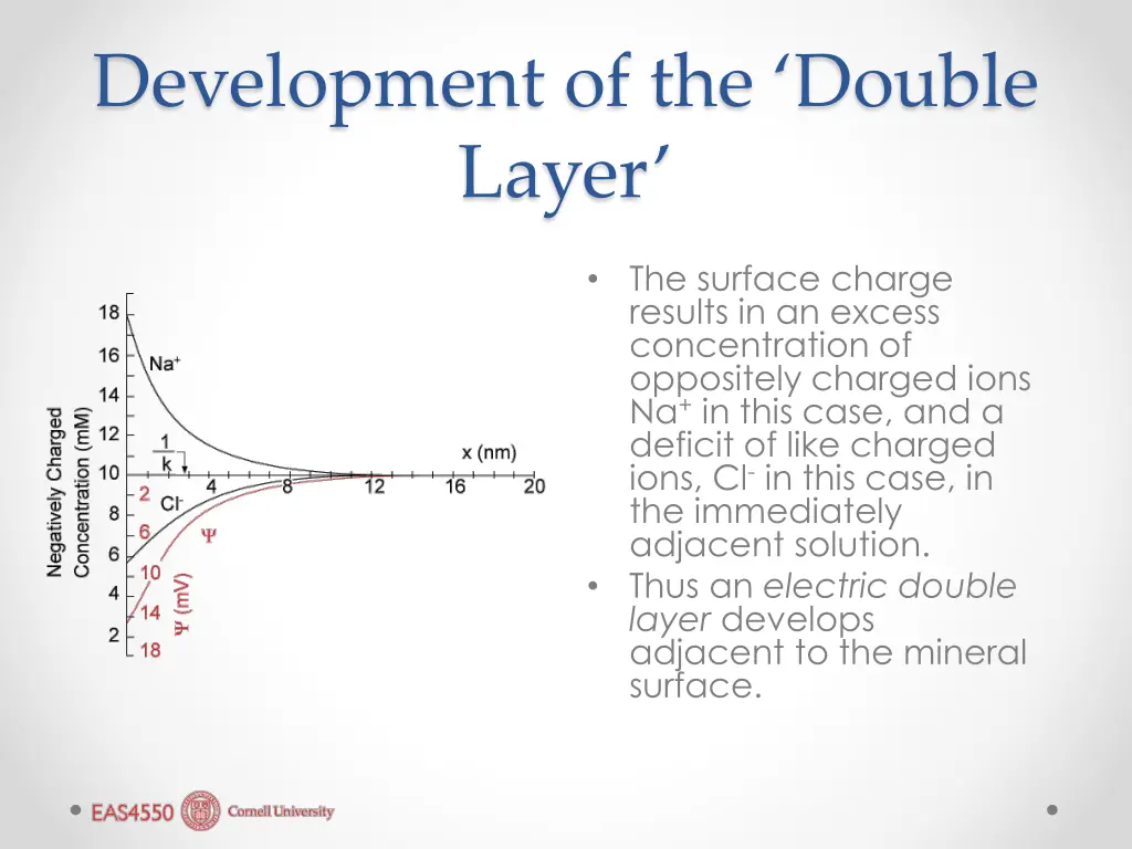 development of the double layer