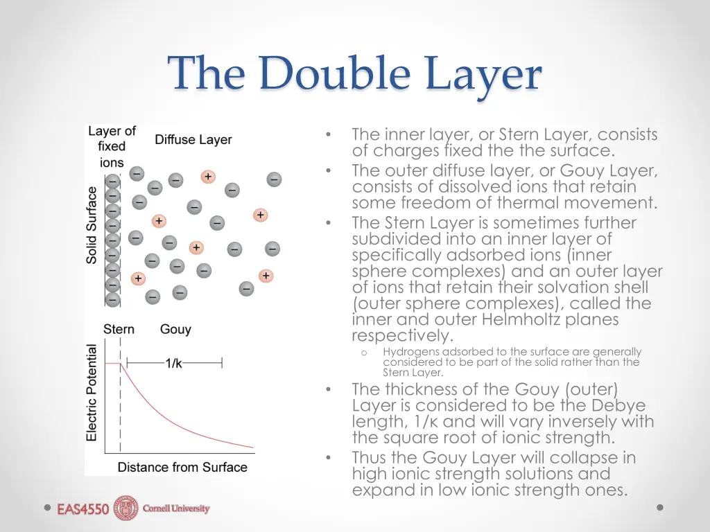 the double layer