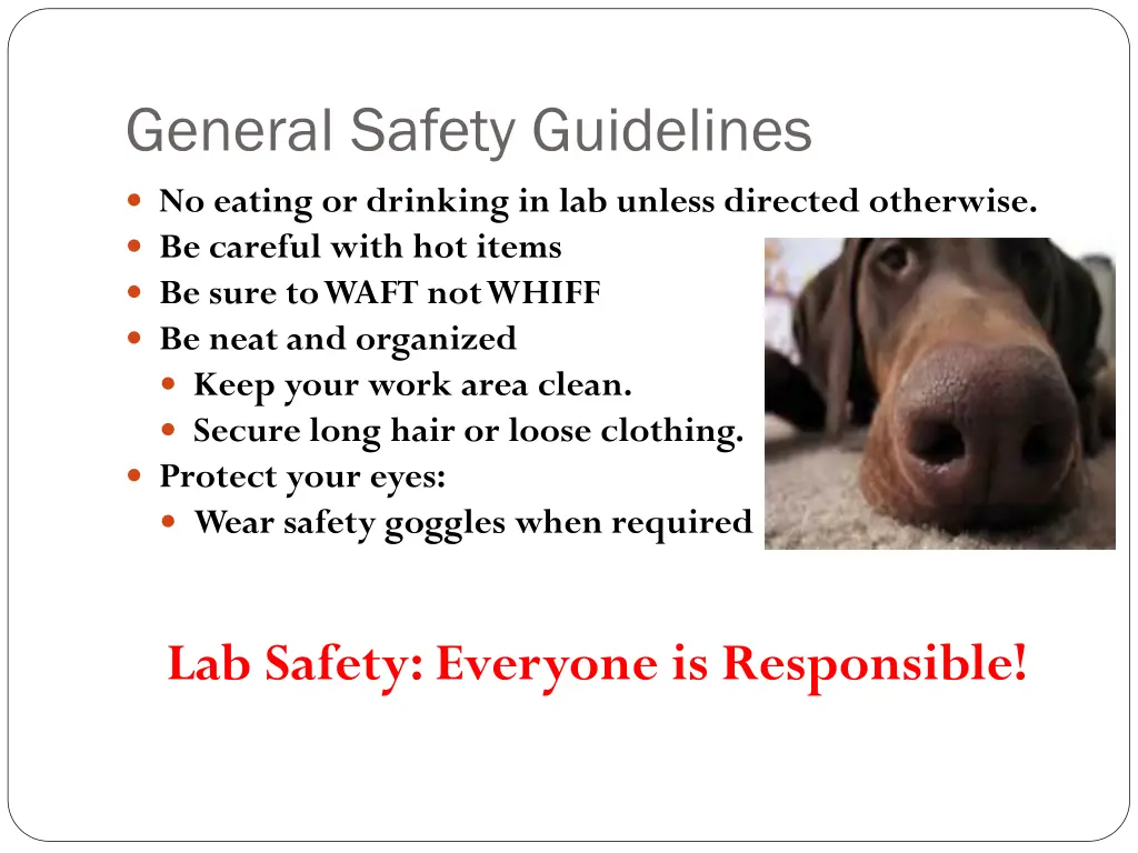 general safety guidelines 1